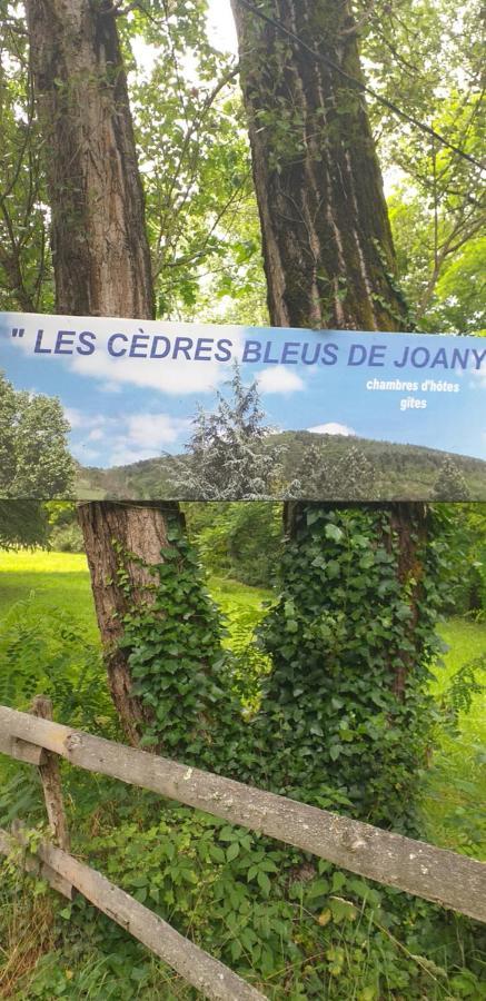 Cedres Bleus De Joany Chez Nathalie Viviez Zewnętrze zdjęcie