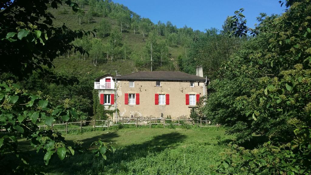 Cedres Bleus De Joany Chez Nathalie Viviez Zewnętrze zdjęcie